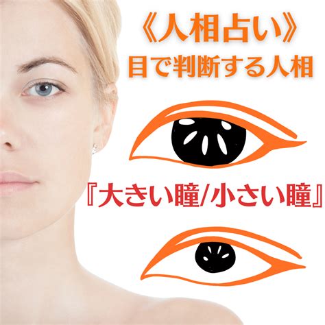 象眼 人相|【人相学】目の形・大きさ・位置・瞳・瞼でわかる性格25個